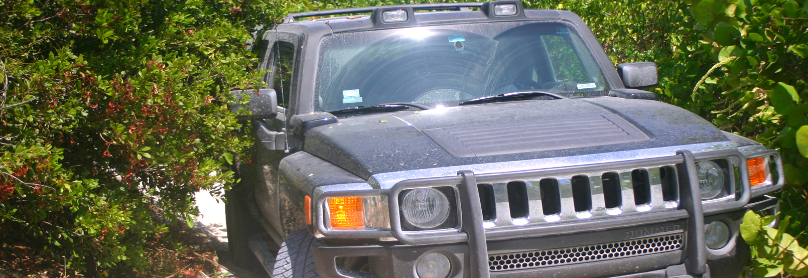 banner